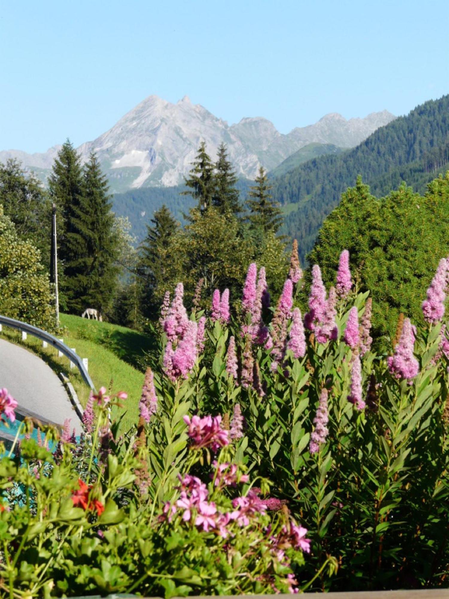 Haus Kammerland Zell am Ziller Exteriör bild